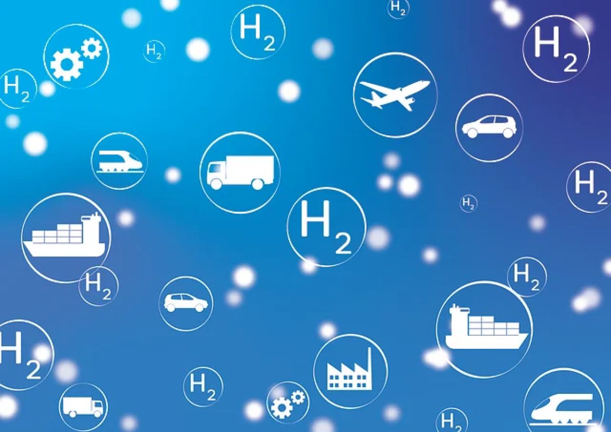Some activities in June 2025 of VAHC and partners