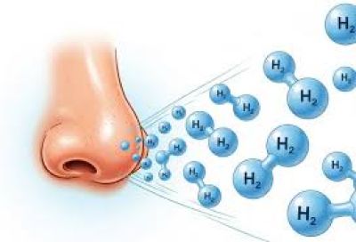 Vietnam Hydrogen Club collaborates on research proposal exploring hydrogen applications in healthcare at Central Mental Hospital No.2