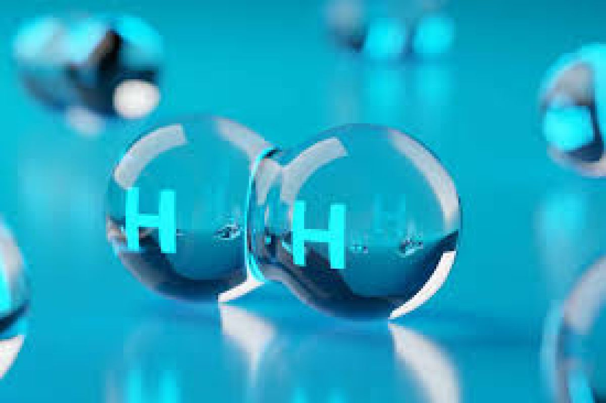 SPECIALISED BOUTIQUE WORKSHOP: Applications of Hydrogen in Health Care and Rehabilitation