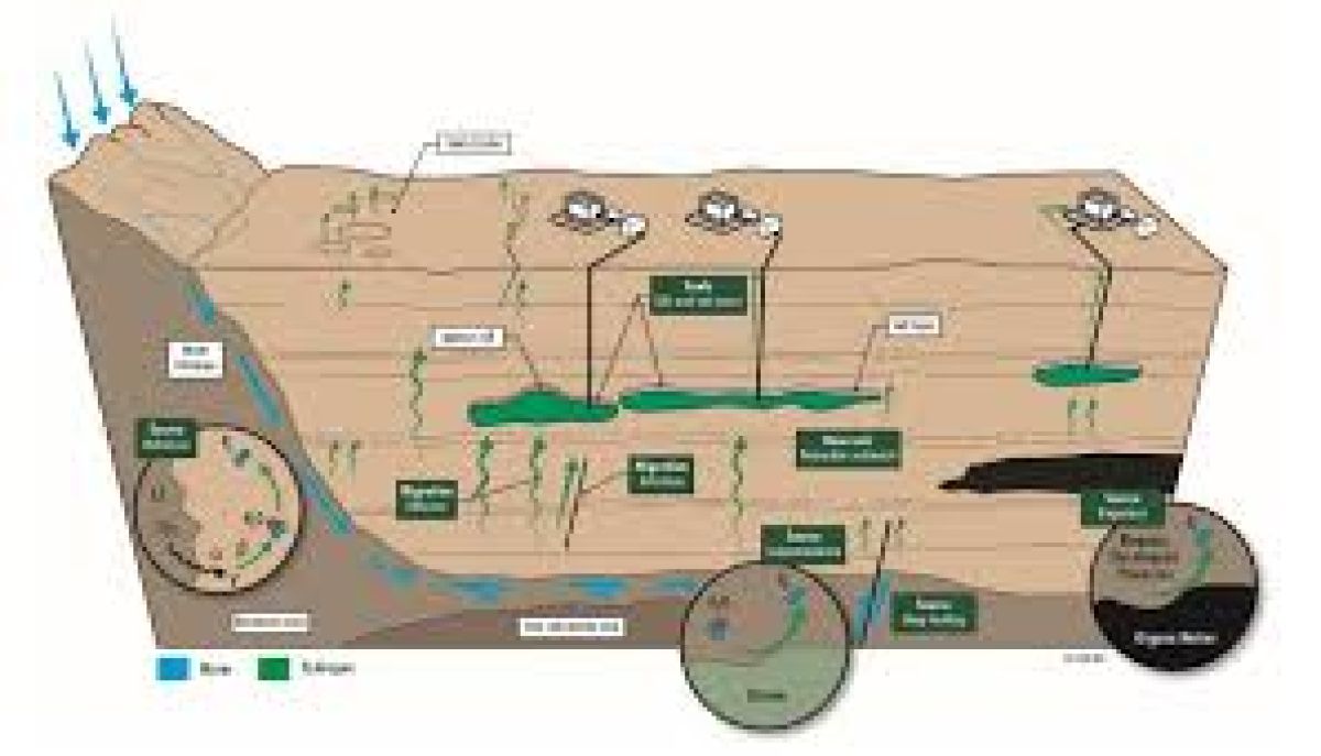 Vietnam ASEAN Hydrogen Club Seeks Partners for Natural Hydrogen Exploration and Development Projects in Vietnam and ASEAN
