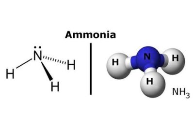 Ammonia-Consuming Sectors in Vietnam and Their Clean Hydrogen Conversion Potential