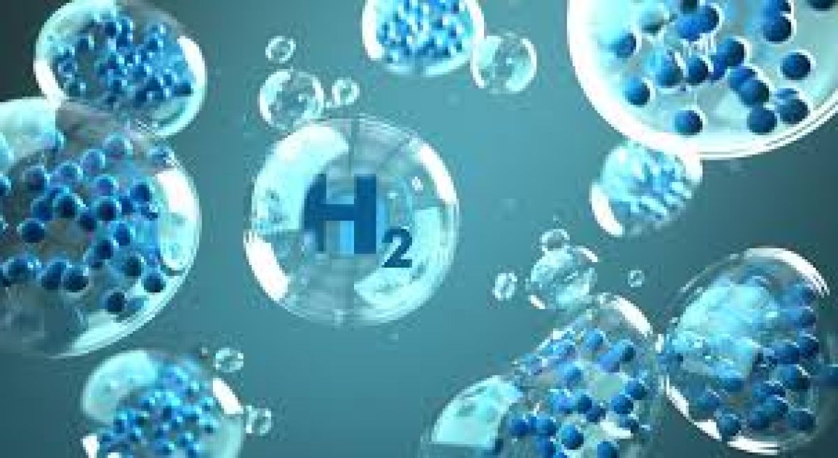 Announcement of Scientific Workshop on Hydrogen Applications in Agriculture in Vietnam and ASEAN 2025