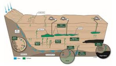 CLB Hydrogen Việt Nam ASEAN t&igrave;m đối t&aacute;c hợp t&aacute;c ph&aacute;t triển dự &aacute;n thăm d&ograve; v&agrave; khai th&aacute;c hydrogen tự nhi&ecirc;n tại Việt Nam v&agrave; ASEAN