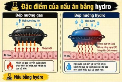 Nấu ăn bằng hydrogen so với bếp gas: V&igrave; sao thức ăn ngon hơn?