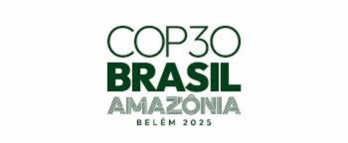 COP30 Amazôna BELÉM Brazil 2025 Series - COP, HYDROGEN VÀ HÀNH TRÌNH NET ZERO